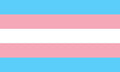 Sello de Pintura Facial Bandera Orgullo Trans