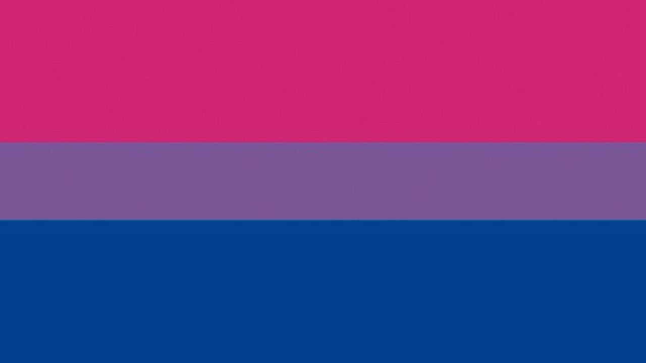 Sello de Pintura Facial Bandera Orgullo Bisexual