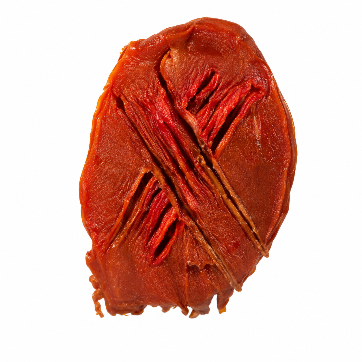 HERIDAS DE LATEX